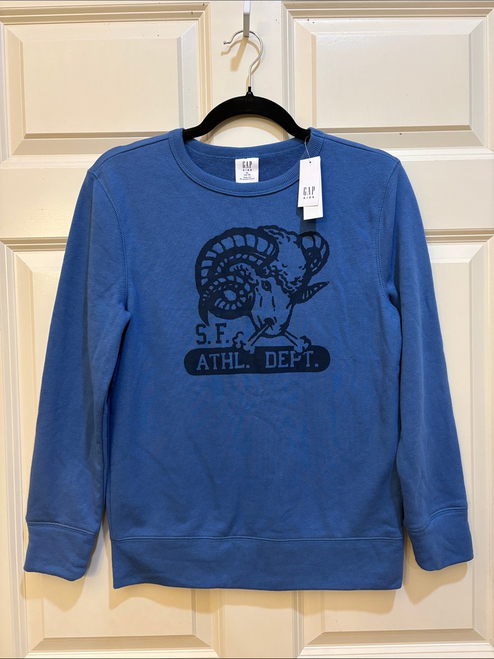 GAP Boys Blue Graphic Ram Sweatshirt Size XL (14-16)